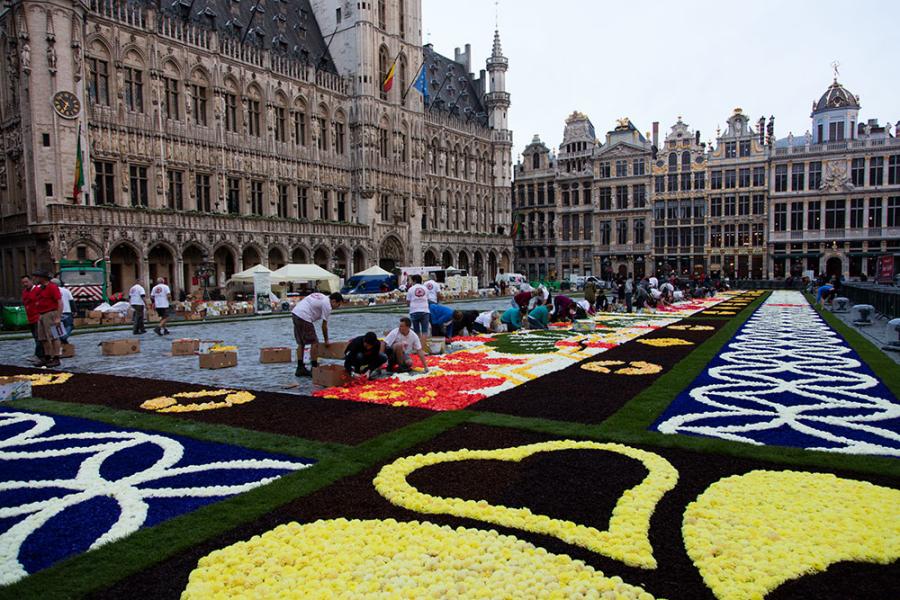 flower carpet 2016